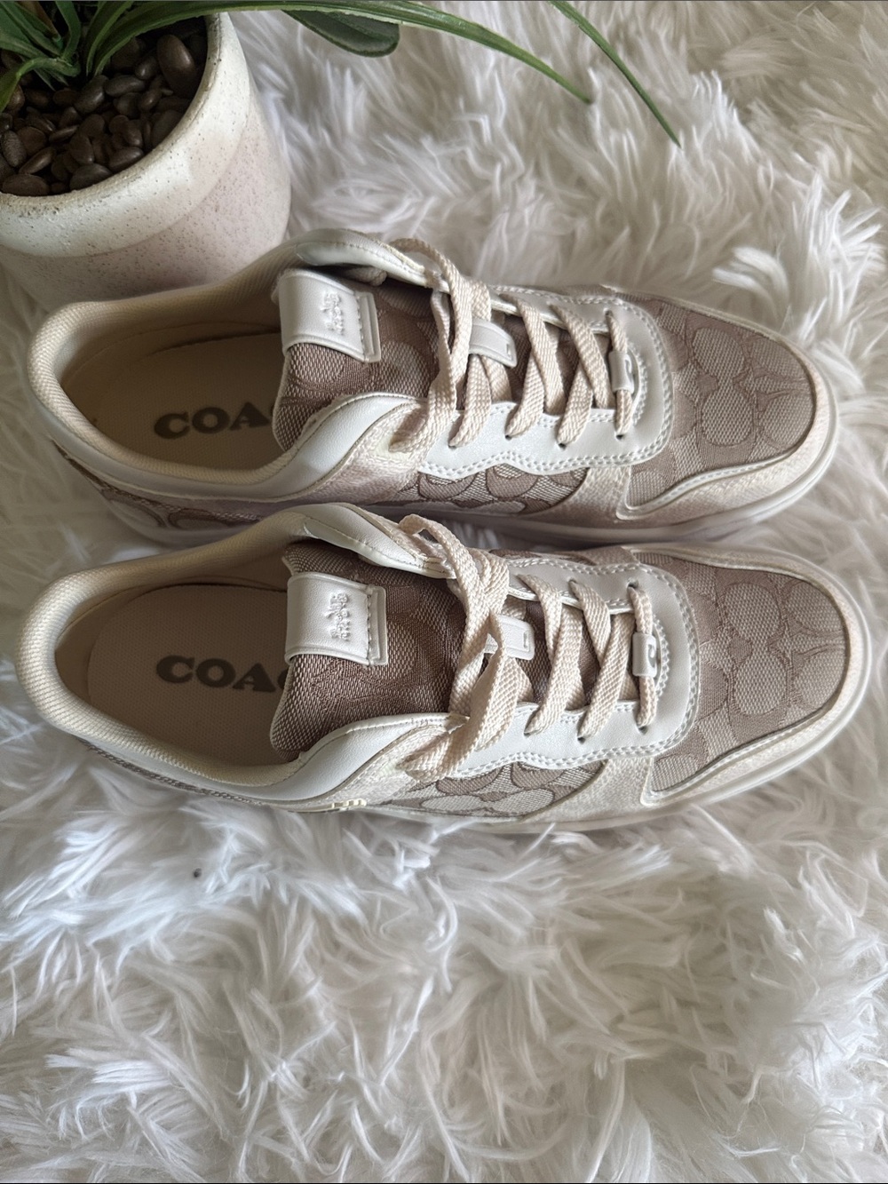 Coach Kids Logo-Print Sneakers in Beige and Cream - Picture 2 of 8